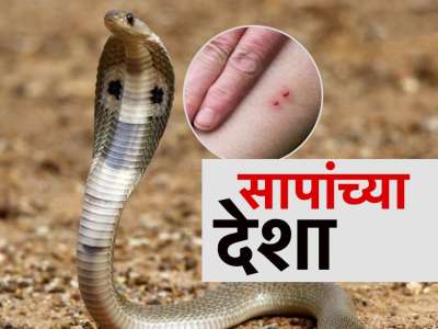 भारतात सर्पदंशामुळे सर्वाधिक मृत्यू, सर्पदंशामुळे वाढवली देशाची चिंता