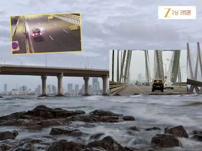 &#039;मला साप चावलाय, गाडी थांबव,&#039; व्यावसायिकाने वरळी सी-लिंकवर टॅक्सी थांबवली अन् थेट समुद्रात मारली उडी, कारण हादरवणारं