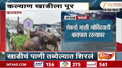 Kalyan Tabela Buffalos And People Rescued As Buffalos Tied On Reti bunder road