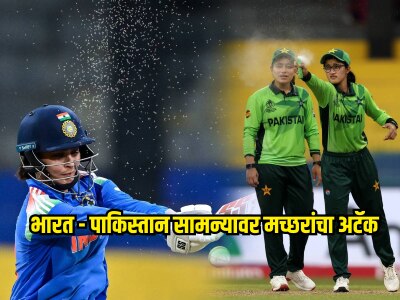 भारत - पाकिस्तान सामन्यावर मच्छरांचा अटॅक, पुढील 15 मिनिटं मैदानात नुसता धुरळा 