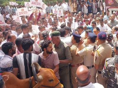 कोल्हापुरात गोकुळवरील मोर्चात अभूतपूर्व राडा, गाई-म्हशी गेट तोडून आत नेण्याचा प्रयत्न