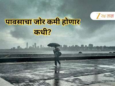 मुंबईसह उपनगरात पहाटेपासून पावसाची संततधार; राज्यातील &#039;या&#039; भागात विजांसह कोसळणार पाऊस