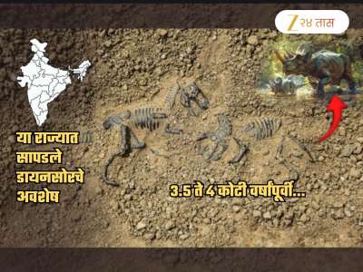 भारतामध्ये &#039;या&#039; राज्यात सापडले Dinosaur चे अवशेष! 40000000 वर्षांचा इतिहास, नदीकाठी...