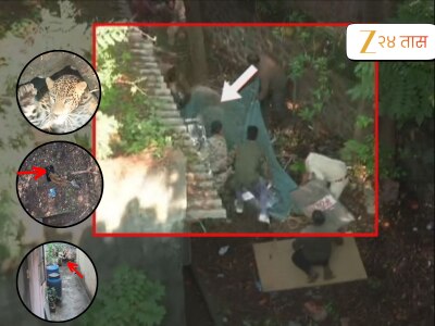 15 जणांनाही आवरला नाही, फोटोंमधून पाहा कोल्हापूरच्या बिबट्याचा 3 तासाचा थरार