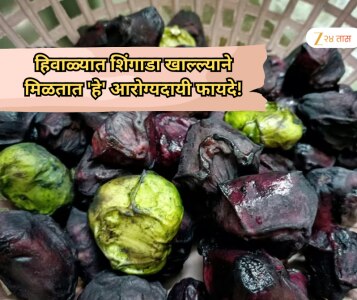 Winter health care: हिवाळ्यात शिंगाडा खाल्ल्याने मिळतात 'हे' आरोग्यदायी फायदे!