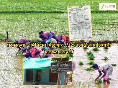 घरबसल्या 5 मिनिटात मिळणार 7/12; तलाठी कार्यालयाची कटकटच संपली, फक्त 15 रुपयात हातात येणार सगळे कागद, काय आहे प्रोसेस?