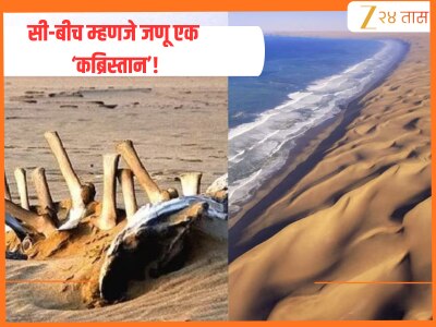 Skeleton Coast: सांगाड्यांनी भरलेला हा सी-बीच म्हणजे जणू एक ‘कब्रिस्तान’! जिथे अनेकांनी घेतला शेवटचा श्वास