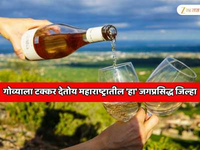 गोव्याला टक्कर देतोय महाराष्ट्रातील 'हा' जिल्हा; इथं समुद्र, नाईट क्लब असलं काहीच नाहीत तरीही गुगलमॅपवर लोकेशन शोधत जगभरातून पर्यटक इथं येतात