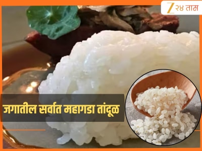 8000-9000 रुपये प्रति किलो! 'हा' आहे जगातील सर्वात महागडा तांदूळ, एवढा काय आहे खास जाणून घ्या 