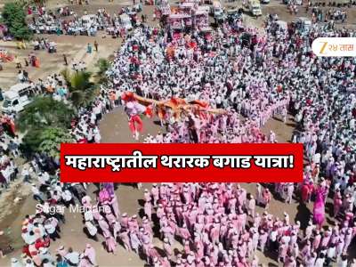 61 जण नवस फेडायला बसले 37 नंबरच्या भक्ताला देवाने दिला कौल; महाराष्ट्रातील सर्वात थरारक बगाड यात्रा! 