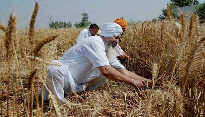 बजेटमध्ये शेतीसाठी घोषणा, पण &#039;अर्थ&#039;च नाही?