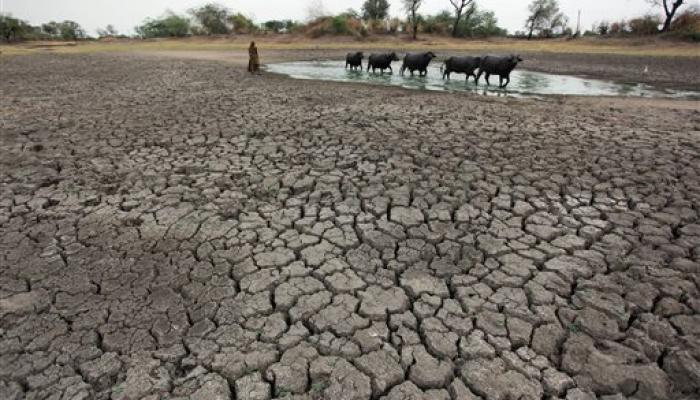 मराठवाड्यावर वरुण राजा रुसला, परळी वीज निर्मितीवर संकट