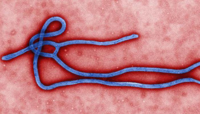  सावधान! जीवघेणा इबोला भारतामध्ये? चेन्नईत पहिला संशयित रुग्ण 
