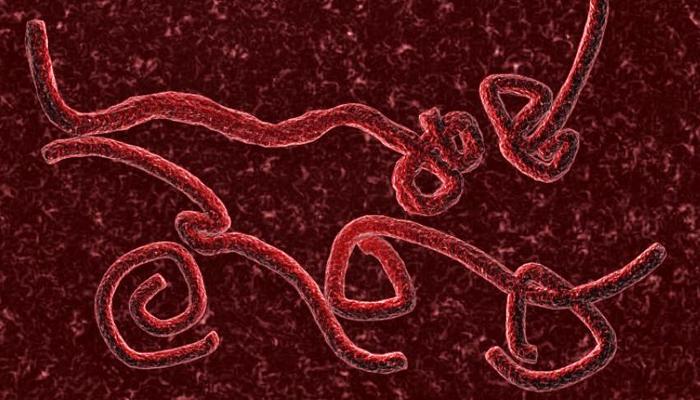 चेन्नईच्या ‘त्या’ रुग्णाला इबोलाची लागण नाही