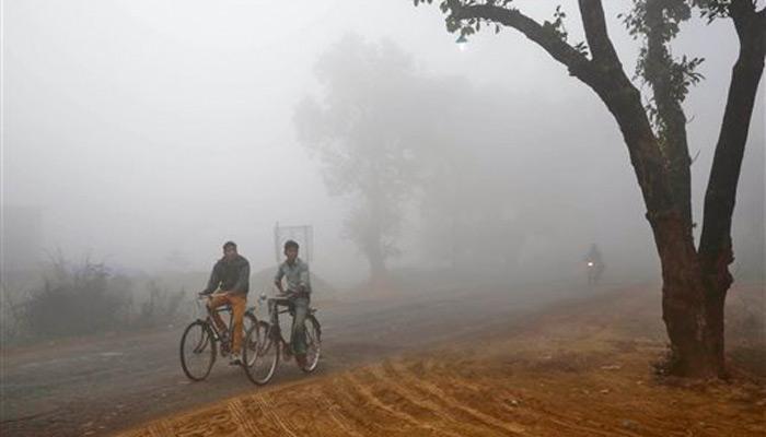 थंडीच्या लाटेनं महाराष्ट्र गारठला, मुंबईलाही हुडहुडी!