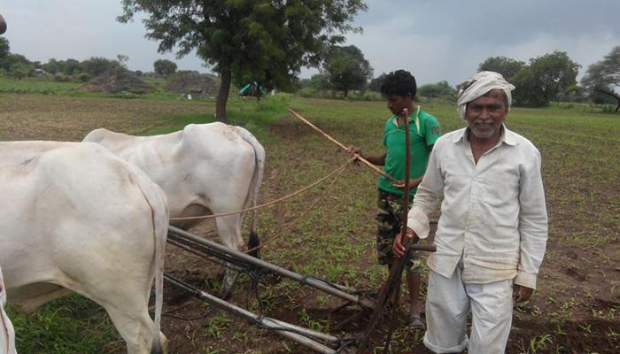 &#039;बोगस बोंब मारायला आमचा &#039;बळीराजा&#039; कुबेर नाही&#039; - आव्हाड