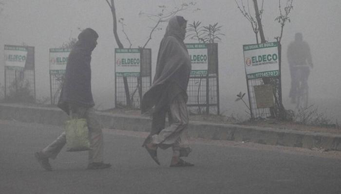 थंडीच्या लाटेमुळे २० जणांचा मृत्यू