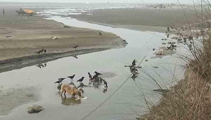 गंगा नदी पात्रात १०४  मृतदेह आढळलेत