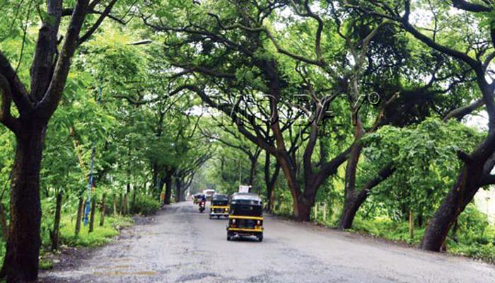 मुंबई पालिकेला दणका, राज्य सरकाने आरे विकासाचा प्रस्ताव  हाणून पाडला