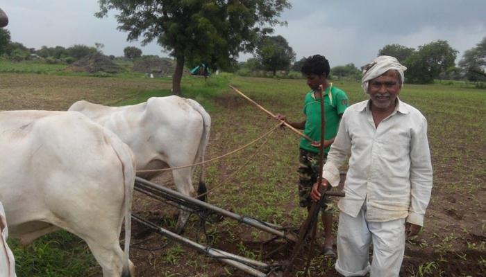 राष्ट्रीयीकृत बँकेत खाती नसलेले शेतकरी सरकारी मदतीपासून वंचित