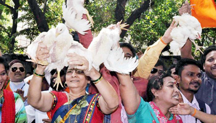 शिवसेनेला &#039;कोंबडी&#039; पडणार महागात, पेटाची निवडणूक आयोगाकडे तक्रार