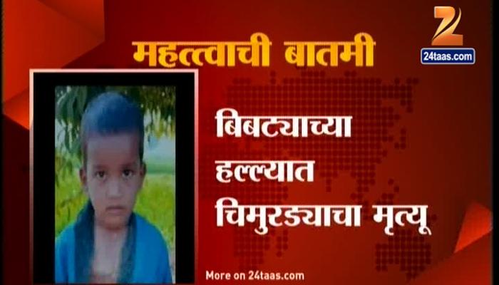 बिबट्याच्या हल्ल्यात अंगणात खेळणाऱ्या  चिमुरड्याचा मृत्यू 