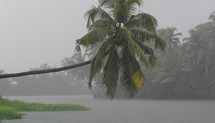 मान्सून केरळमध्ये; कोकणात १० तर मुंबईत १२ पर्यंत दाखल