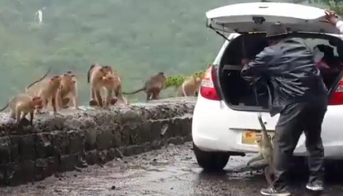 VIDEO : हा क्रूर - अमानवीय प्रकार थांबायलाच हवा...