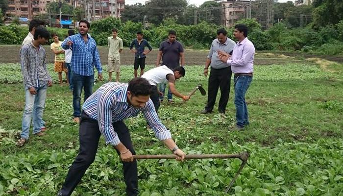 &#039;हिरव्या विषा&#039;चा पर्दाफाश, डोंबिवलीत ठेकेदारविरोधात गुन्हा