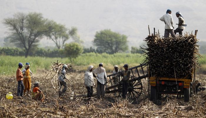 हक्काचे पैसे मागितले म्हणून बँक मॅनेजरची शेतकऱ्याला मारहाण