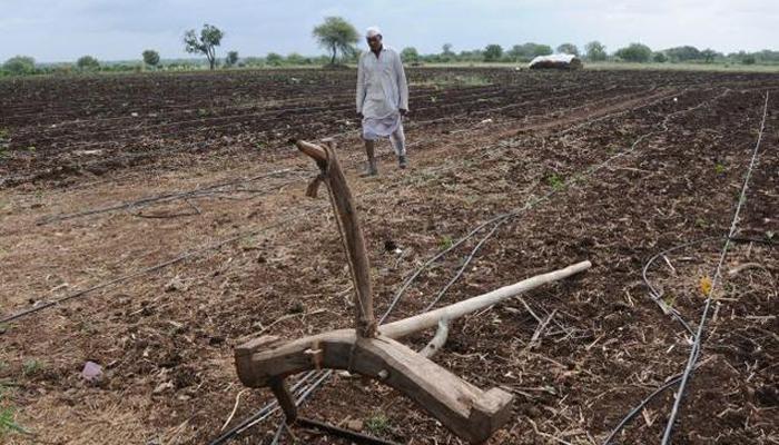 पाऊस नसल्याने खान्देशात भीषण परिस्थिती