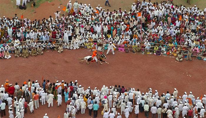 &#039;ज्ञानोबा - तुकारामsss&#039; उभ्या रिंगणात वारकरी रंगले...  