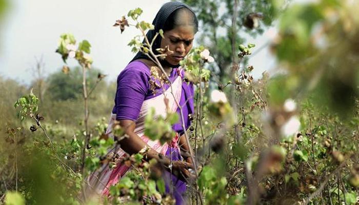 शेतकरी कुटुंबातील विद्यार्थ्यांचं शिक्षण झालं सोप्पं