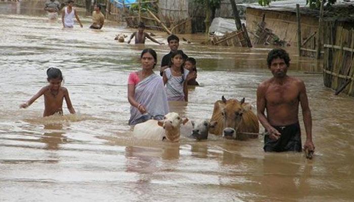 आसाममध्ये पुराचा हाहाकार, ८ जणांचा मृत्यू