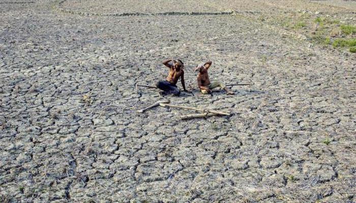 शेतकऱ्यांचा काढणार अपघाती विमा, राज्य सरकारचा महत्त्वपूर्ण निर्णय