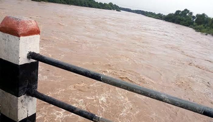 राज्यात पुरात चार जण वाहून गेलेत, चंद्रपूरमध्ये धरणाचे दरवाजे उघडले