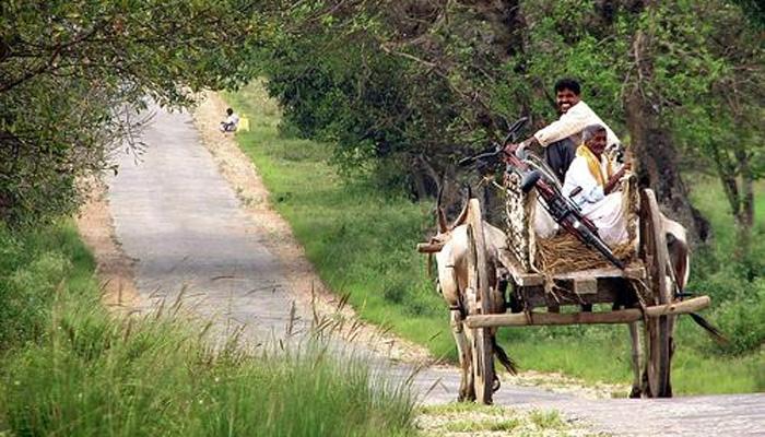 ...या गावात जबरदस्तीनं तयार झालीय अविवाहीत तरुणांची फौज!