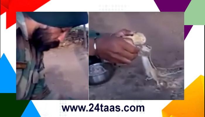  पाहा व्हिडिओ : भारतीय सैनिकाने आपलं जेवण खारूताईसोबत शेअर केलं.