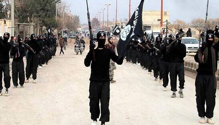 ISIS वर आता जर्मनी करणार लष्करी कारवाई
