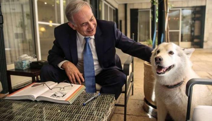 इस्त्रायलच्या पंतप्रधानांच्या कुत्र्याला अटक