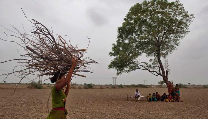 दुष्काळावर सर्वोच्च न्यायालयाची राज्य सरकारला नोटीस