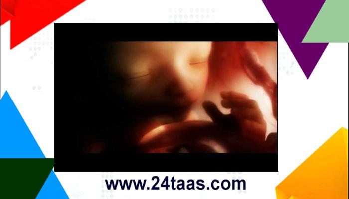 VIDEO : गर्भाशयातील बाळाचा नऊ महिन्यांचा प्रवास