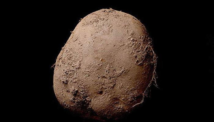 या बटाट्याच्या फोटोची किंमत आहे तब्बल १० लाख रुपये