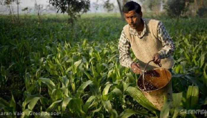 शेतकऱ्यांच्या मुलांना &#039;रासायनिक शेती नकोशी&#039;