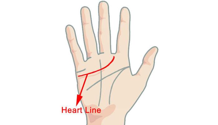 काय सांगते तुमच्या हातावरची हार्ट लाईन ?