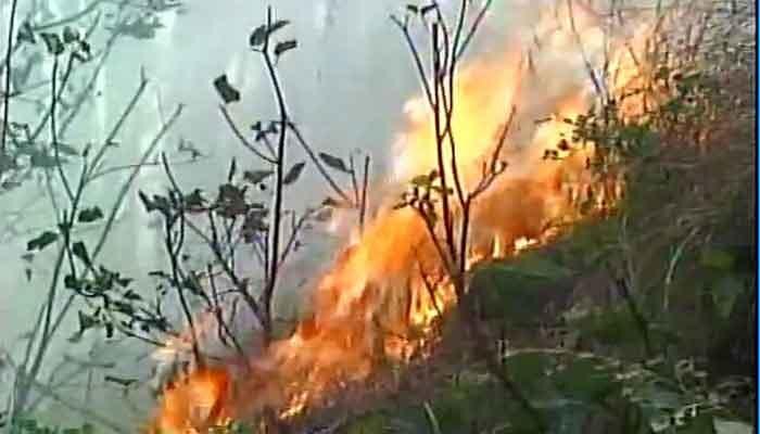 VIDEO : उत्तराखंडनंतर हिमाचल आणि जम्मू-काश्मीरच्या पर्वतरांगांत आगीचा कहर
