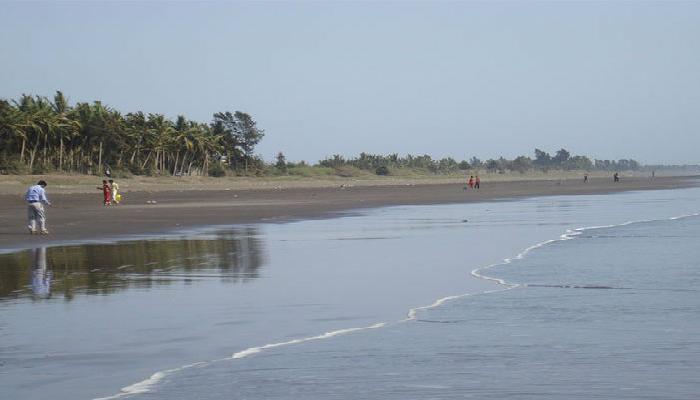 अर्नाळ्याच्या समुद्रात दोघं बुडाले 