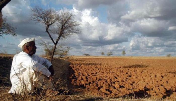 सर्वात कमी पाऊस जूनमध्ये; शेतीला मोठा फटका