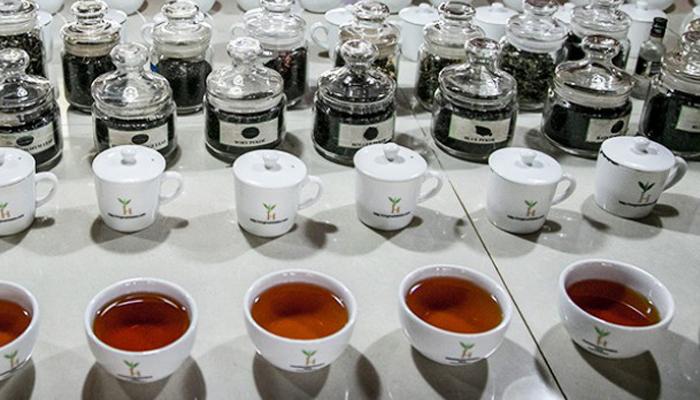 श्रीलंकेत मिळतो जगातील सर्वात महागडा चहा