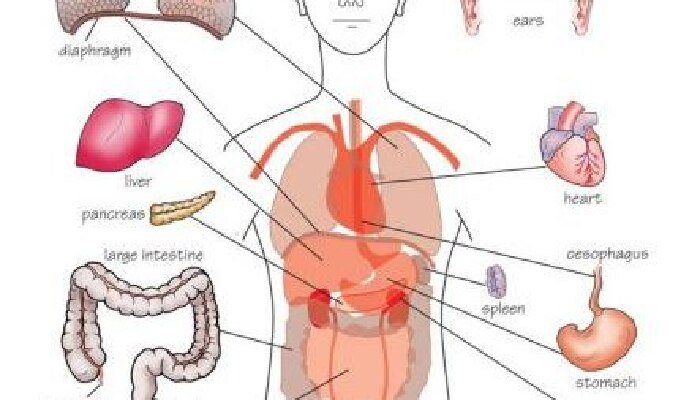 शरीरातील या 7 भागांवर आलेली सूज दुर्लक्षित करू नका